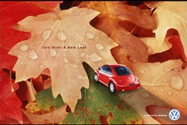 New Beetle 컬러_레드 단풍.jpg