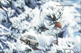 New Beetle 컬러_하얀눈.jpg