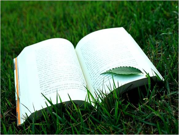 사업의 본질과 고객의 Needs 2