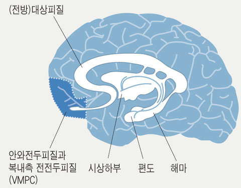 뇌.jpg