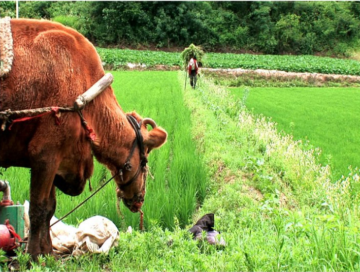 어낭소리 꼬릉 베어어는 할아버지.jpg