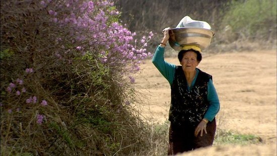 워낭소리 할머니.jpg