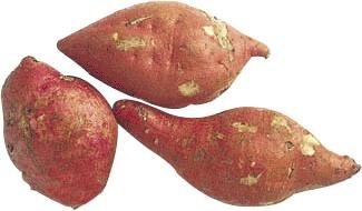 주말 농장을 기다리며 1