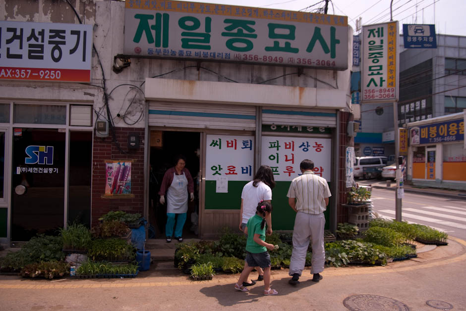 드디어 주말 농장에 다녀왔어요 1