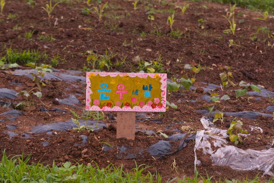 주말농장에 팻말을 세우다.... 4