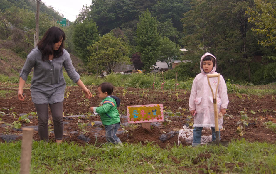 주말농장에 팻말을 세우다.... 6