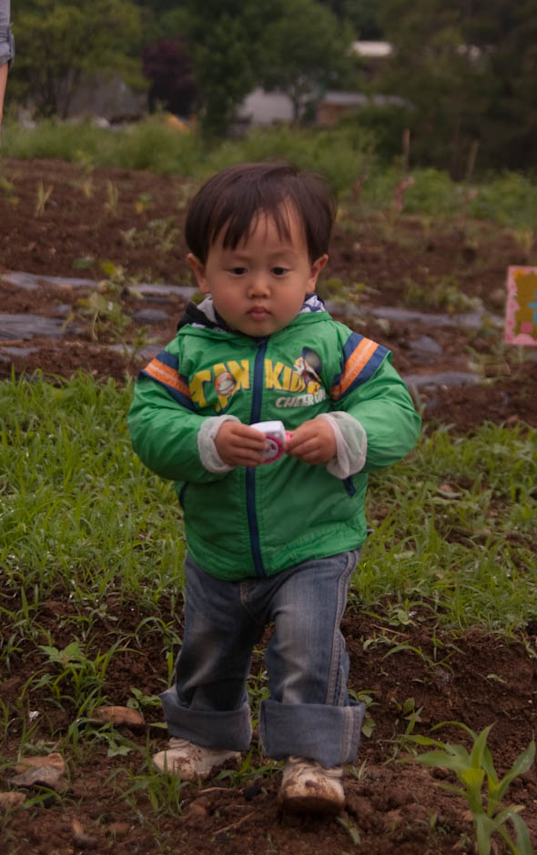 주말농장에 팻말을 세우다.... 8