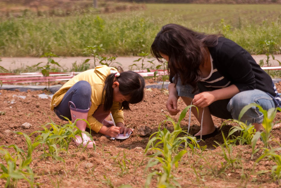 이번주 다녀온 주말 농장 풍경 27 이번주 다녀온 주말 농장 풍경 27