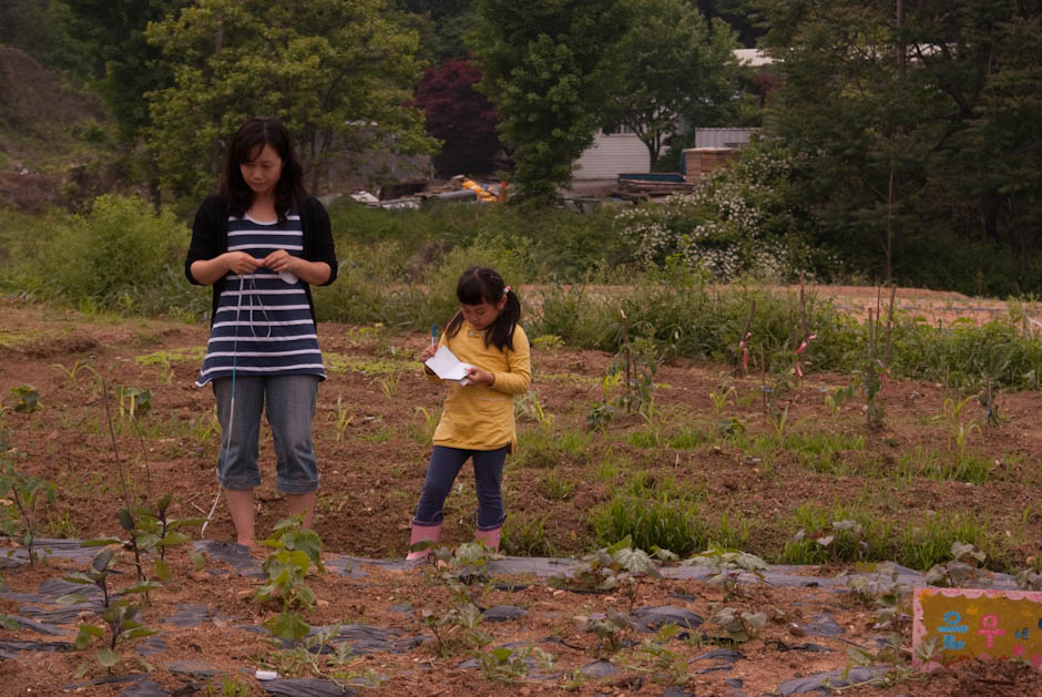 이번주 다녀온 주말 농장 풍경 28 이번주 다녀온 주말 농장 풍경 28