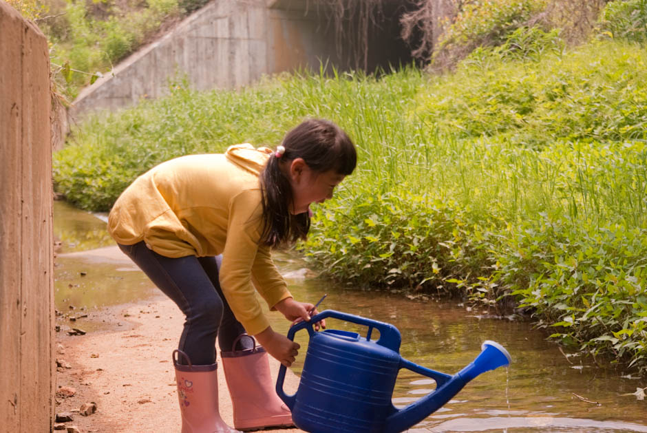 이번주 다녀온 주말 농장 풍경 30 이번주 다녀온 주말 농장 풍경 30