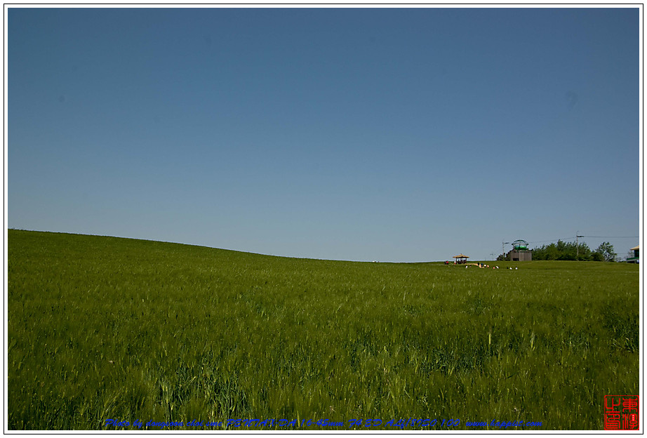   고창 청보리밭01 