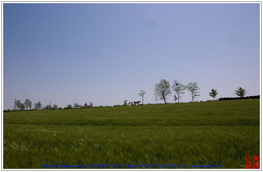 고창 청보리밭에 다녀와서 20 고창 청보리밭01