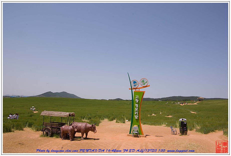   고창 청보리밭01 