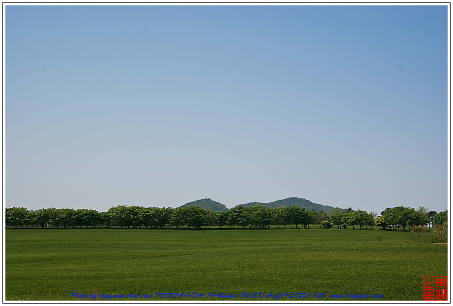 고창 청보리밭에 다녀와서 24 고창 청보리밭01