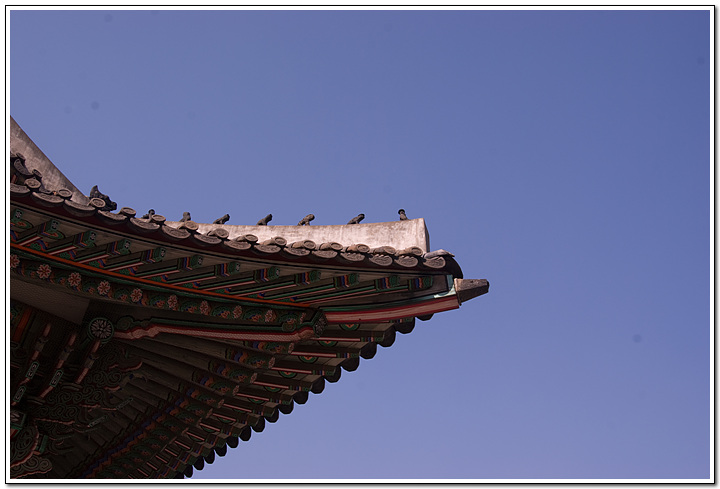 덕수궁에서 발견하는 옛것의 흔적들 88 덕수궁 처마,
시멘트로 발라 땡빵해 놓은 처마의 모습에서 무너진 왕국의 모습을 보았다면 과장일까?