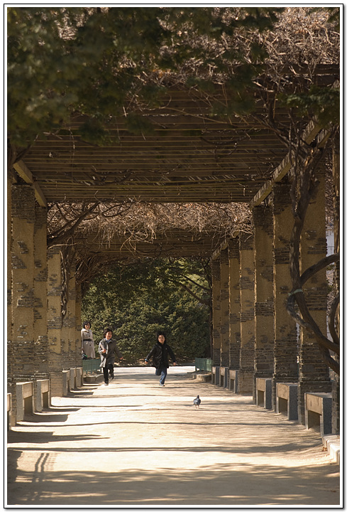 덕수궁에서 발견하는 옛것의 흔적들 93 고색이 창연한 궁궐에는 아이들의 천진한 웃음이 세월을 이기고 현대로 인도한다.