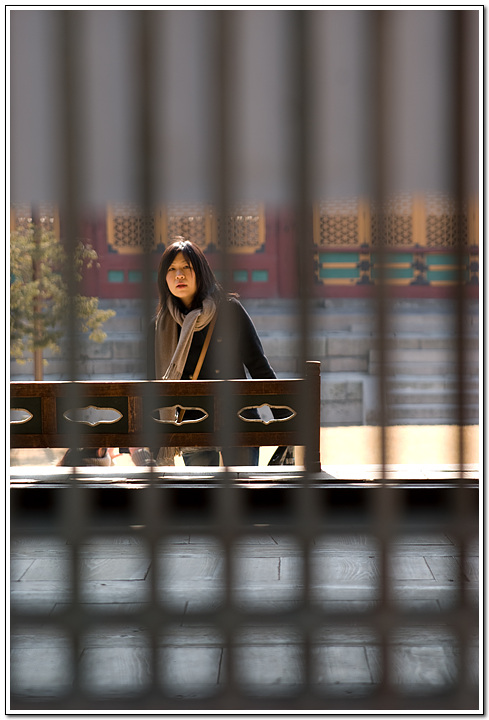 덕수궁에서 발견하는 옛것의 흔적들 85 누구의 호기심일까? 살짝 찢겨진 옛 문창호지