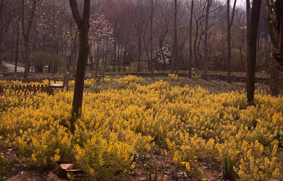 한택식물원에 다녀온 이야기... 28