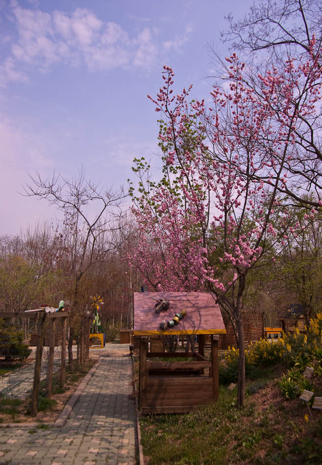 한택식물원에 다녀온 이야기... 45