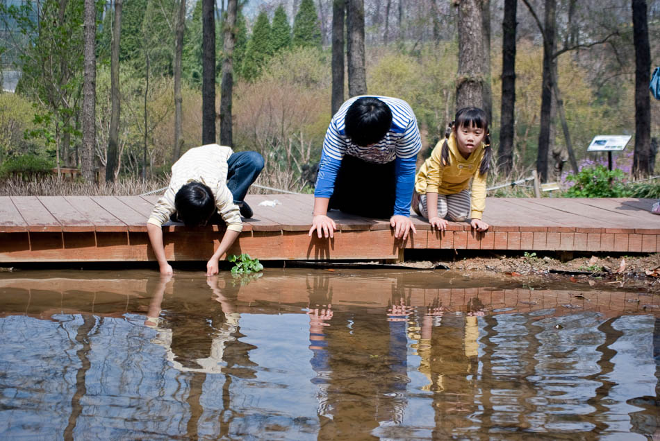 한택식물원에 다녀온 이야기... 36