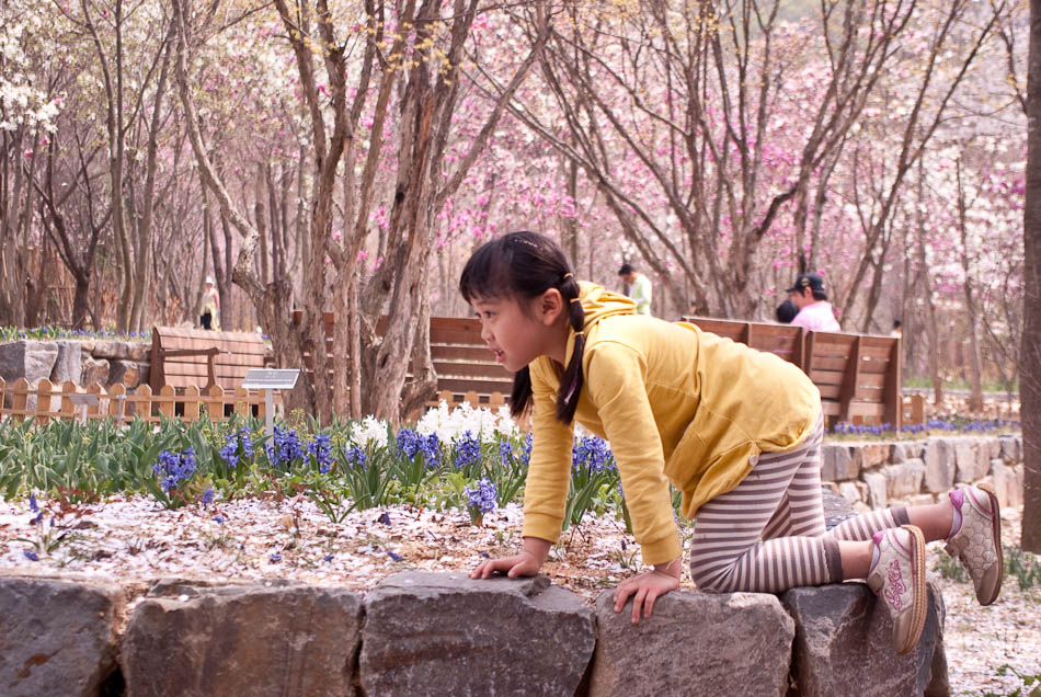 한택식물원에 다녀온 이야기... 41