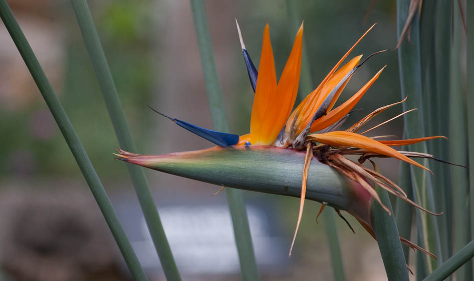 한택식물원에 다녀온 이야기... 51