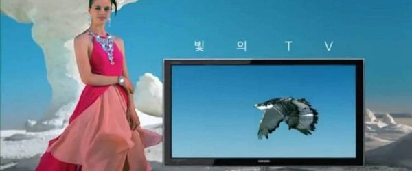 불황기 마케팅 성공 사례 - 삼성TV ‘파브’ 2
