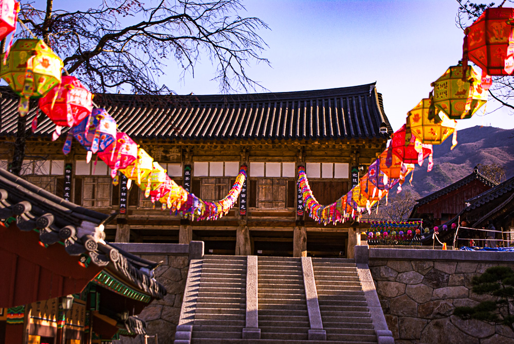 화엄사 홍매화 5