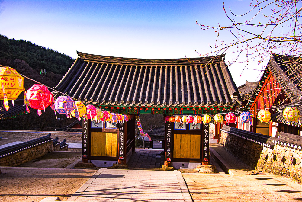 화엄사 홍매화 6