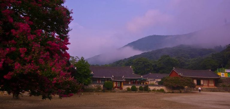 [남도여행]고즈넉한 선운사를 다녀오다