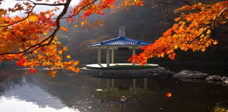 [남도여행]내장산 단풍, 발길이 차마 떨어지지 않았던 아름다움..