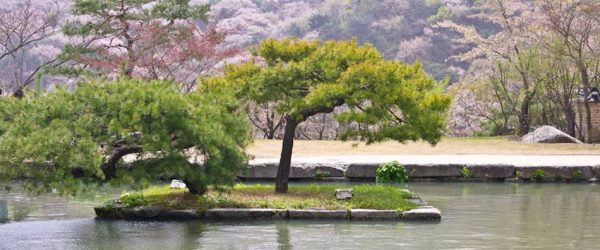 미술관이 있는 한국 전통정원 희원 풍경 1