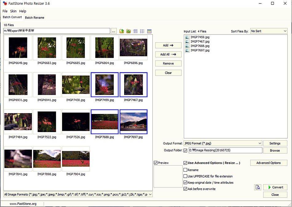FastStone Photo Resizer 실행 모습