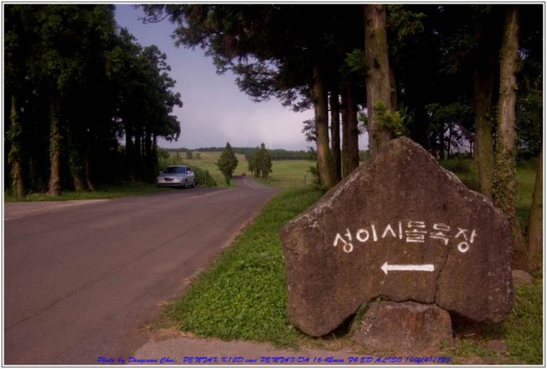 [제주여행]제주 이시돌 목장