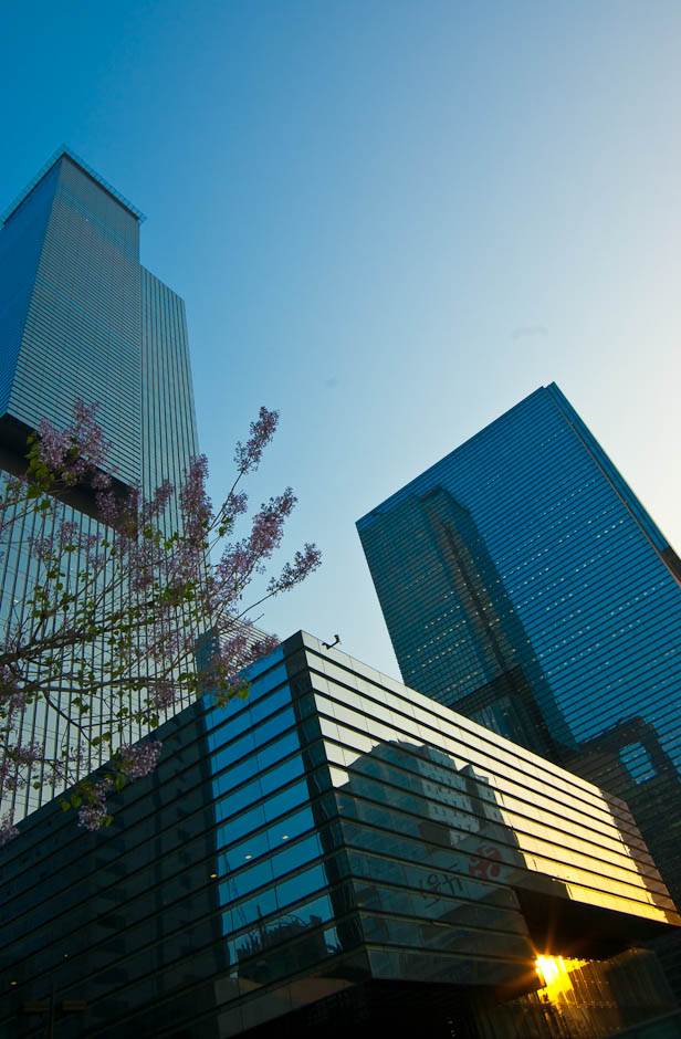 삼성전자 서초사옥-8115.jpg