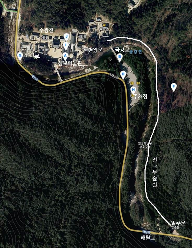 월정사가는길_네이버지도