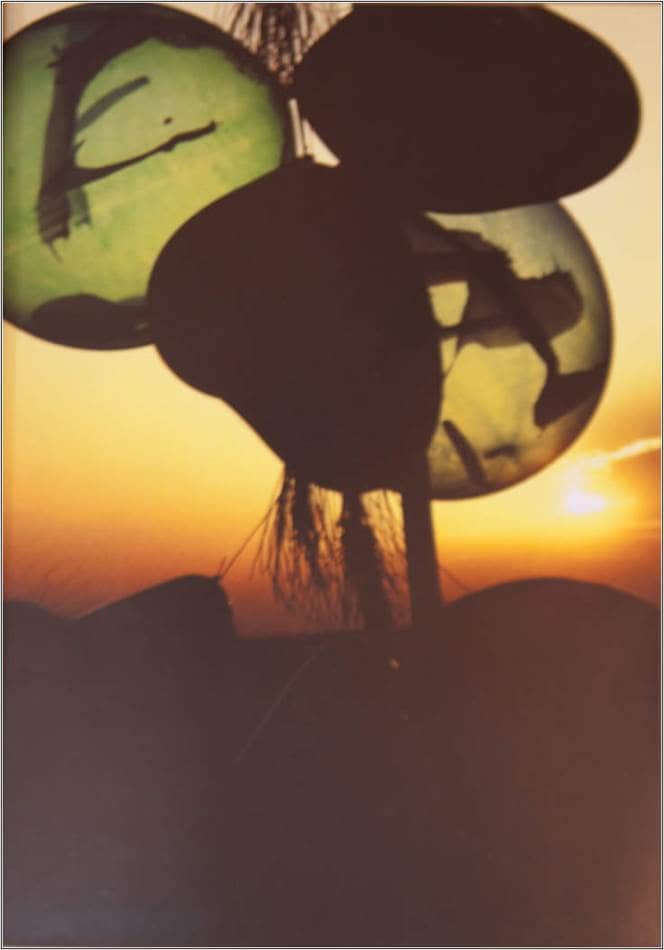 조선희의 “네 멋대로 찍어라”