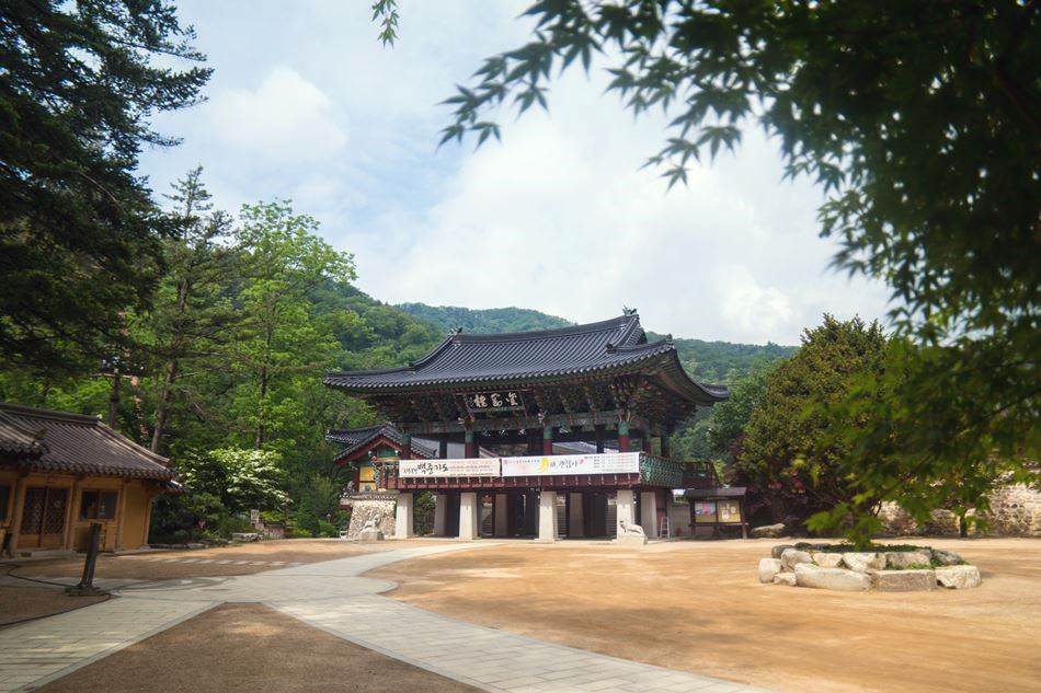 평창 월정사 금강루-4818