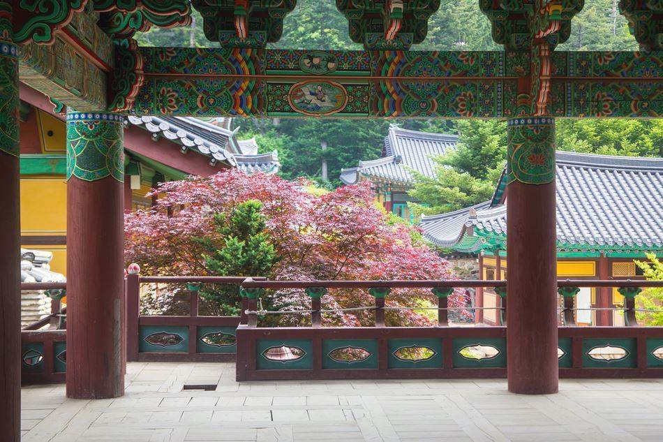 평창 월정사 금강루에 바라본 풍경-4841