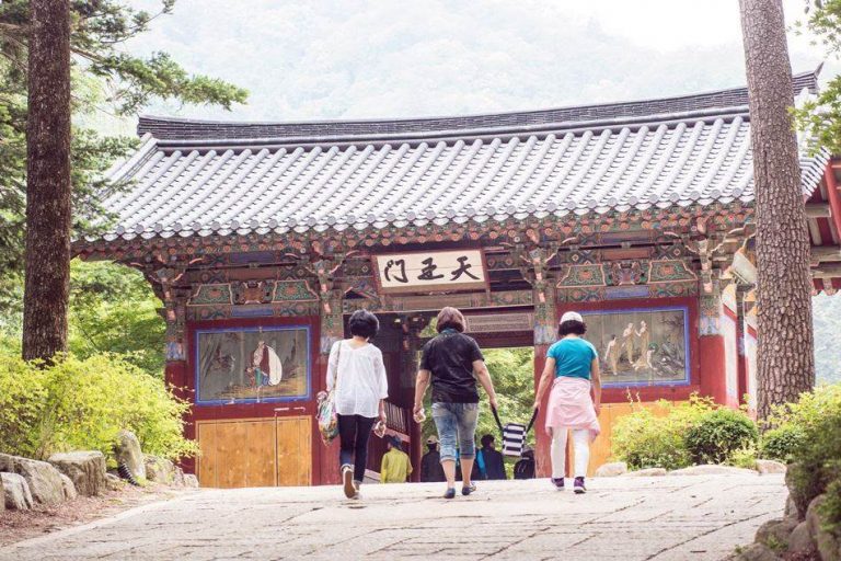 [강원여행]월정사가는길 – 전나무숲의 운치에 둘러싸여 아름다운 절, 월정사