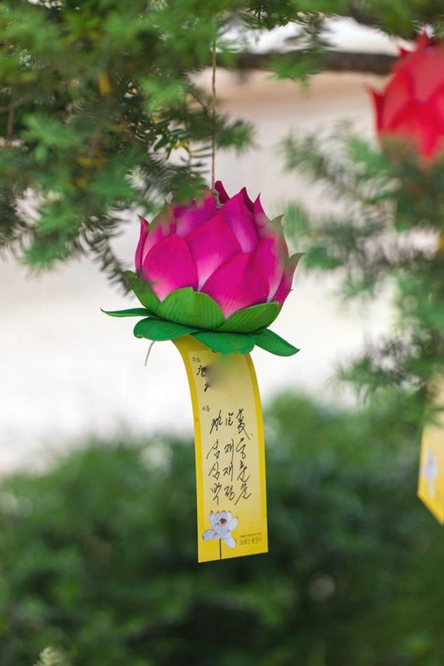 평창 월정사 연꽃 기원-4891