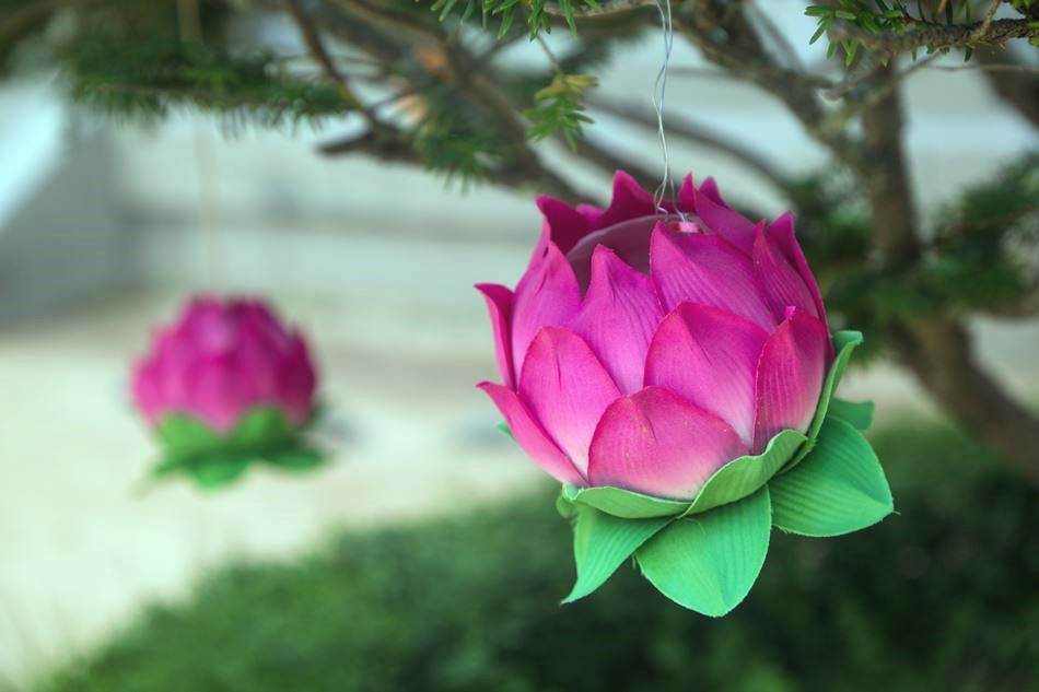 평창 월정사 연등-4850