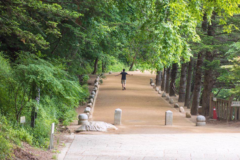 평창 월정사 월정사에서 나와 전나무숲으로 가는 길-4908