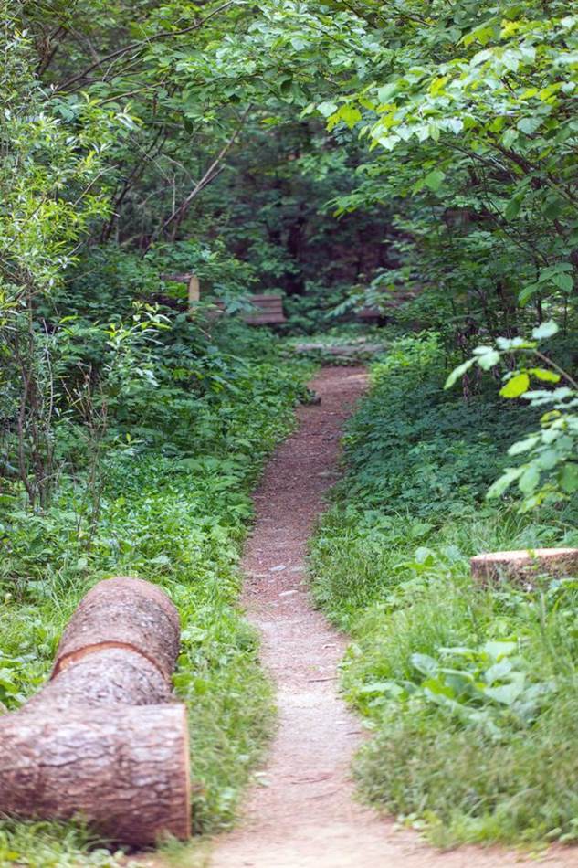 평창 월정사가는 전나무숲가의 오솔길-4984