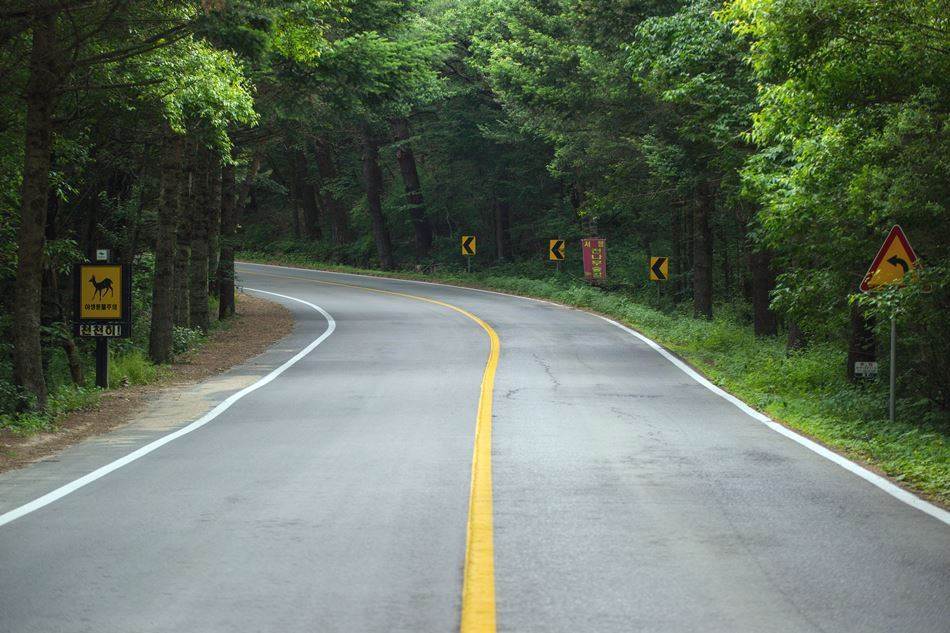 평창 월정사가는길 매표소를 지나-5037