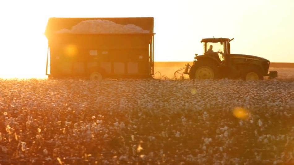 파타고니아 100%  유기농면 홍보 영상 중 Patagonia 100% Organic Cotton01 참조