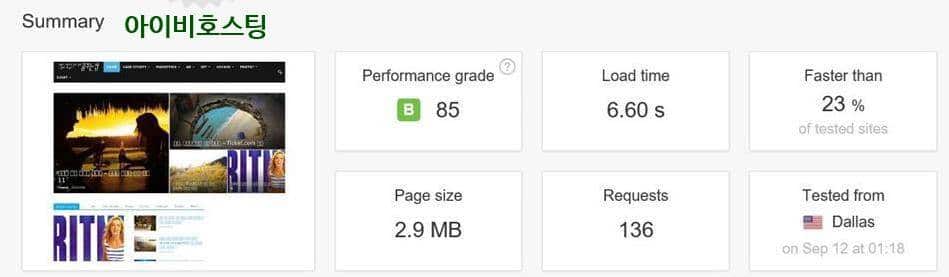 Pongdom_아이비-WP-Rocket-제거-01