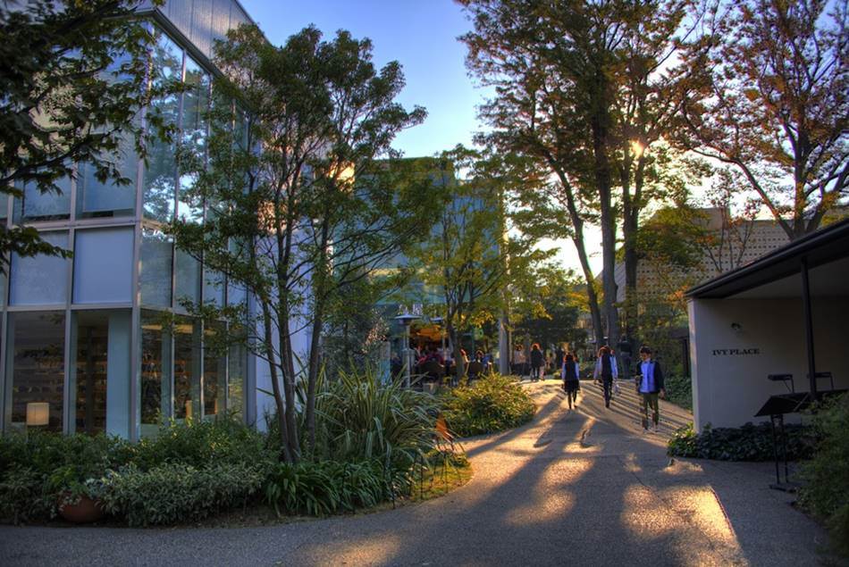 숲속의 도서관 다이칸야마 츠타야서점 - 라이프스타일 제안과 고객가치 창출로 서점의 미래를 만들다 16 %eb%8b%a4%ec%9d%b4%ec%b9%b8%ec%95%bc%eb%a7%88-%ec%b8%a0%ed%83%80%ec%95%bc%ec%84%9c%ec%a0%90_%ec%84%9d%ec%96%91%ec%9d%98-%ed%96%87%ec%82%b4%ec%9d%b4-%ec%95%84%ec%81%9c-%ea%b3%b3_tsutaya_daikanyama-3