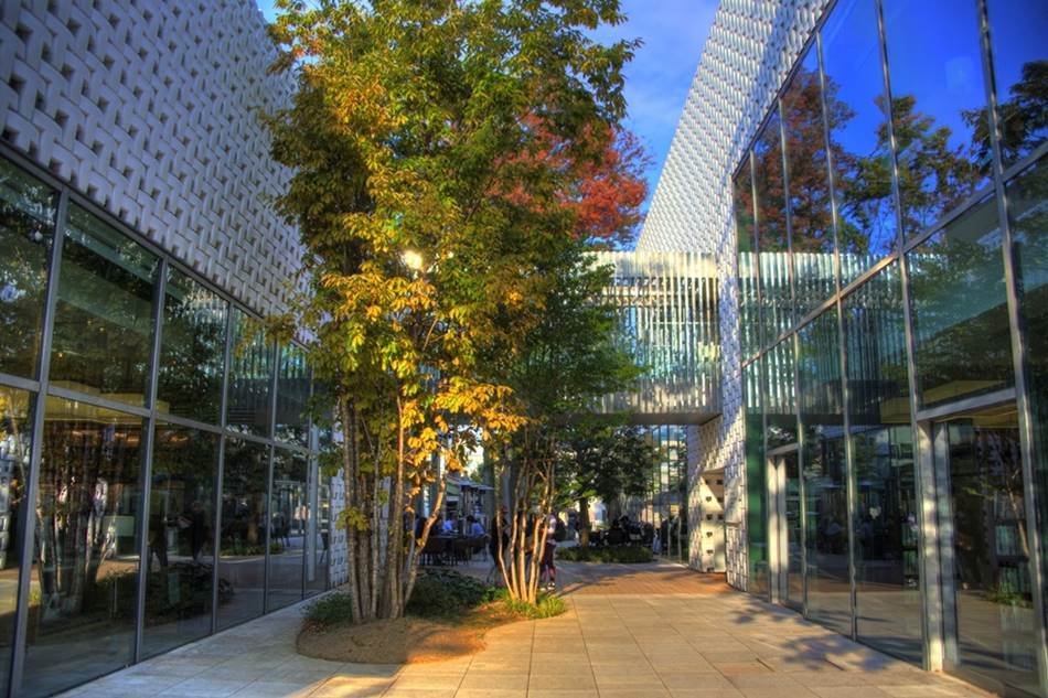 숲속의 도서관 다이칸야마 츠타야서점 - 라이프스타일 제안과 고객가치 창출로 서점의 미래를 만들다 17 %eb%8b%a4%ec%9d%b4%ec%b9%b8%ec%95%bc%eb%a7%88-%ec%b8%a0%ed%83%80%ec%95%bc%ec%84%9c%ec%a0%90_%ec%84%9d%ec%96%91%ec%9d%98-%ed%96%87%ec%82%b4%ec%9d%b4-%ec%95%84%ec%81%9c-%ea%b3%b3_tsutaya_daikanyama-8