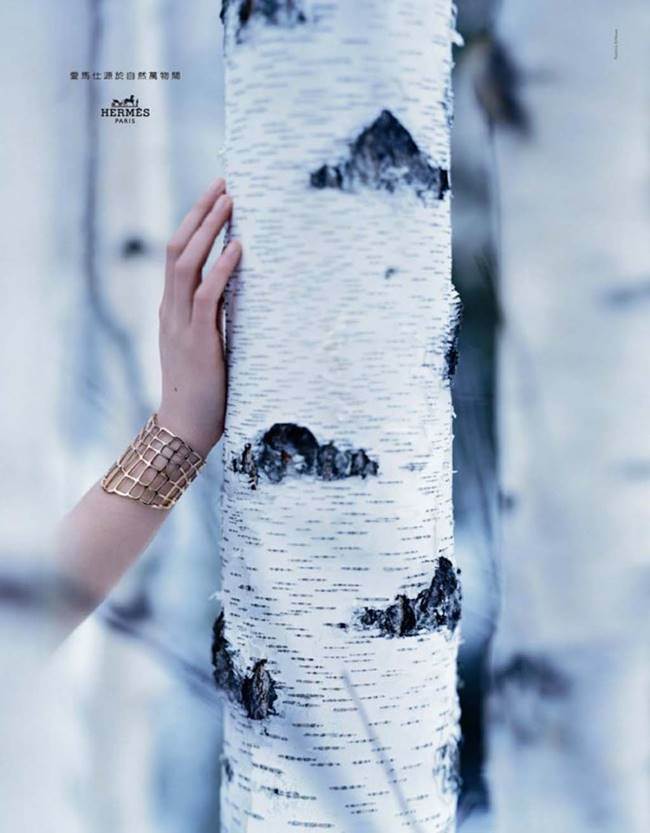 에르메스 광고_hermes-grande-nature_2016-fall-03